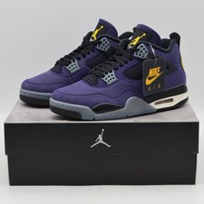FV5029-500 Nike Air Jordan 4